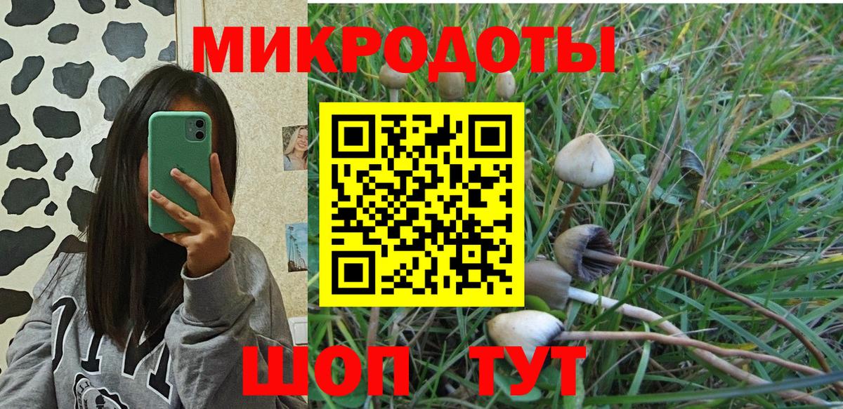 Клинцы  Галлюциногенные грибы мицелий  Галлюциногенные грибы Magic Shrooms  Вход с VPN 